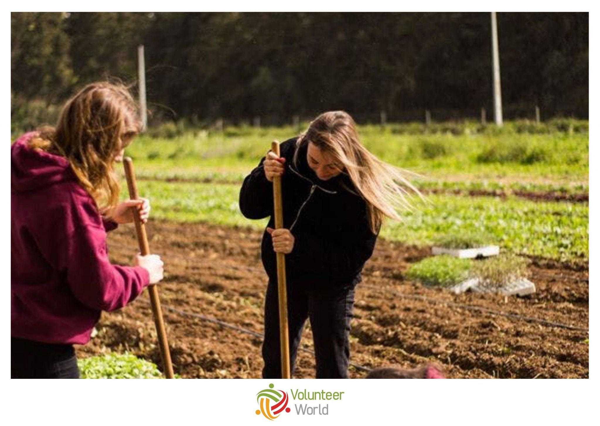 Sustainable Agriculture in Portugal