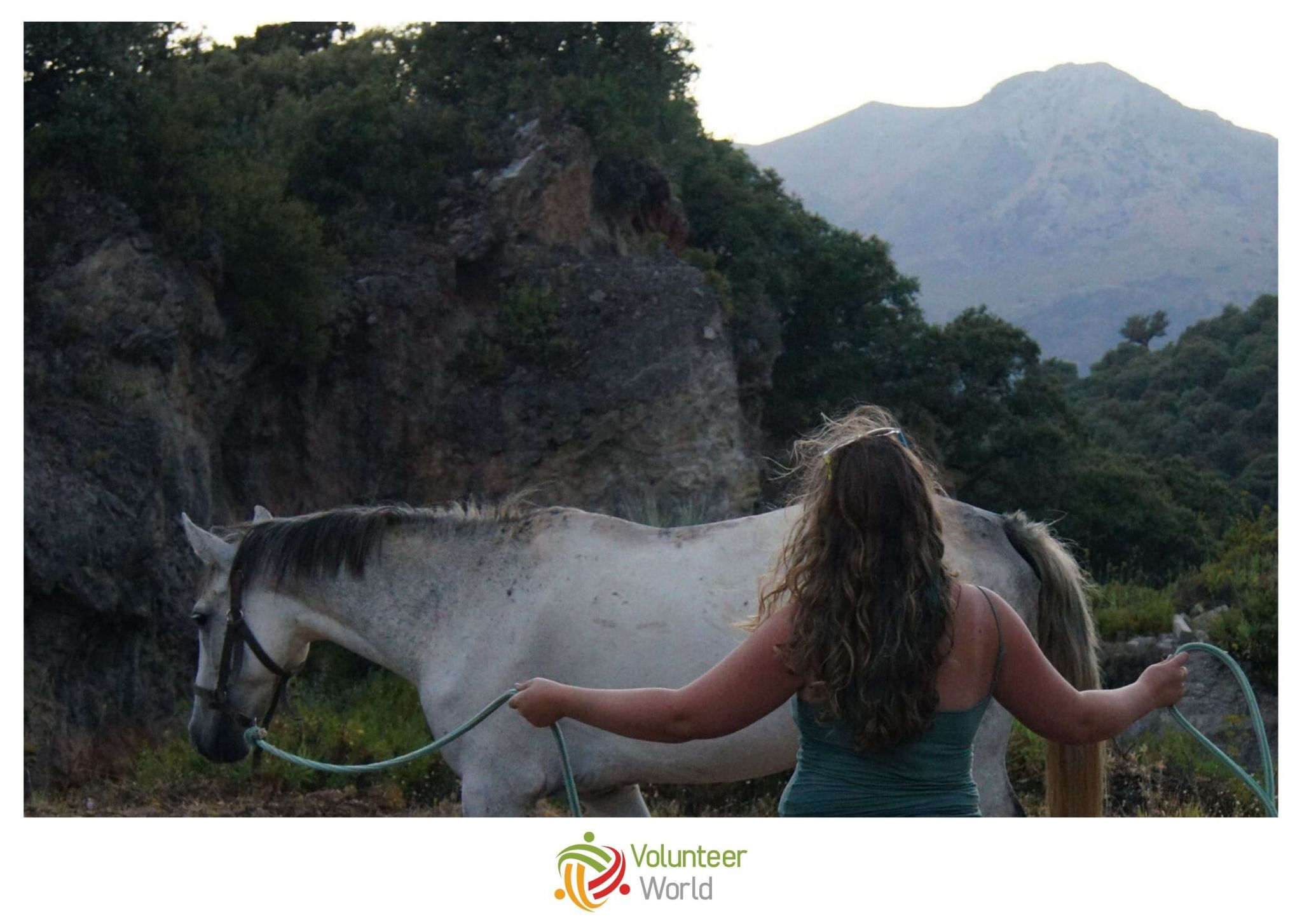 Volunteer with Horses in Spain