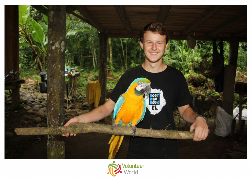 wildlife volunteer in brazil