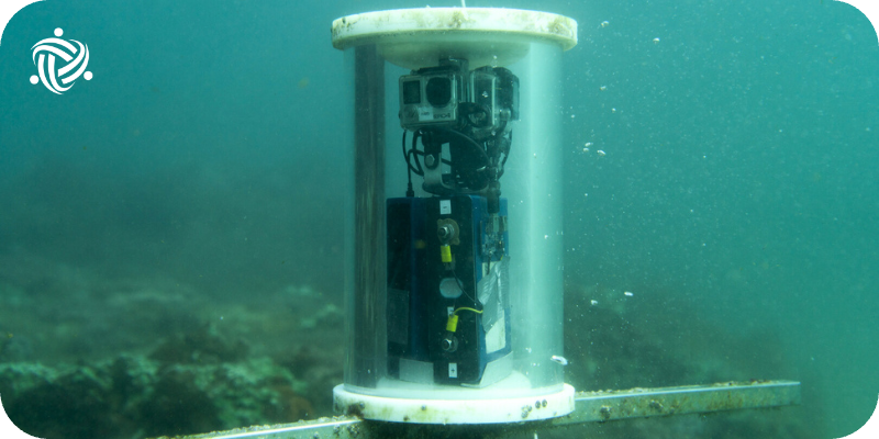 A remote underwater video used as a survey method for marine conservation.
